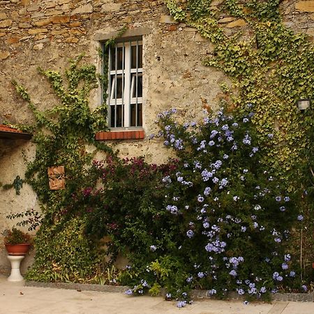 オルトノーヴォ Al Vecchio Convento Mare E Monti Bed & Breakfast エクステリア 写真