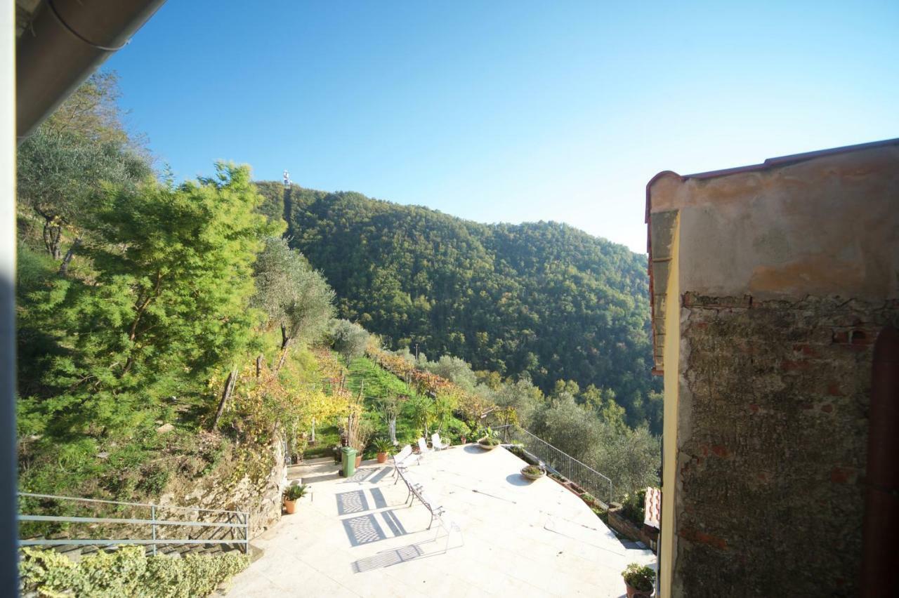 オルトノーヴォ Al Vecchio Convento Mare E Monti Bed & Breakfast エクステリア 写真