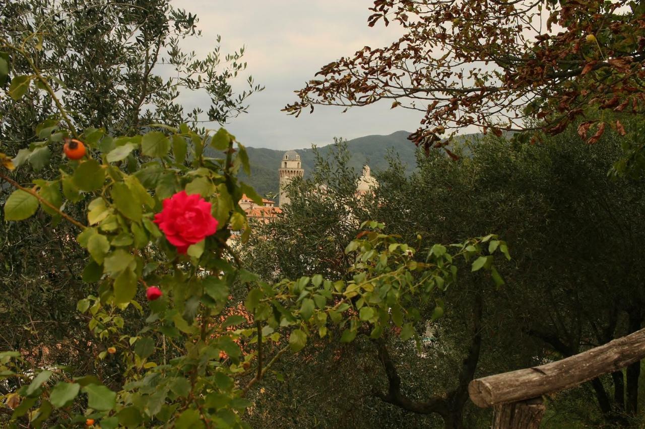 オルトノーヴォ Al Vecchio Convento Mare E Monti Bed & Breakfast エクステリア 写真